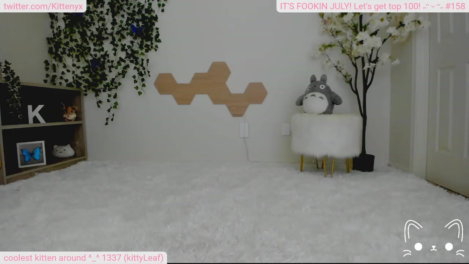 Gallery image thumbnail from Kittenyx's myfreecams stream on, 07/07/2023, 05:03 image 14 of 20
