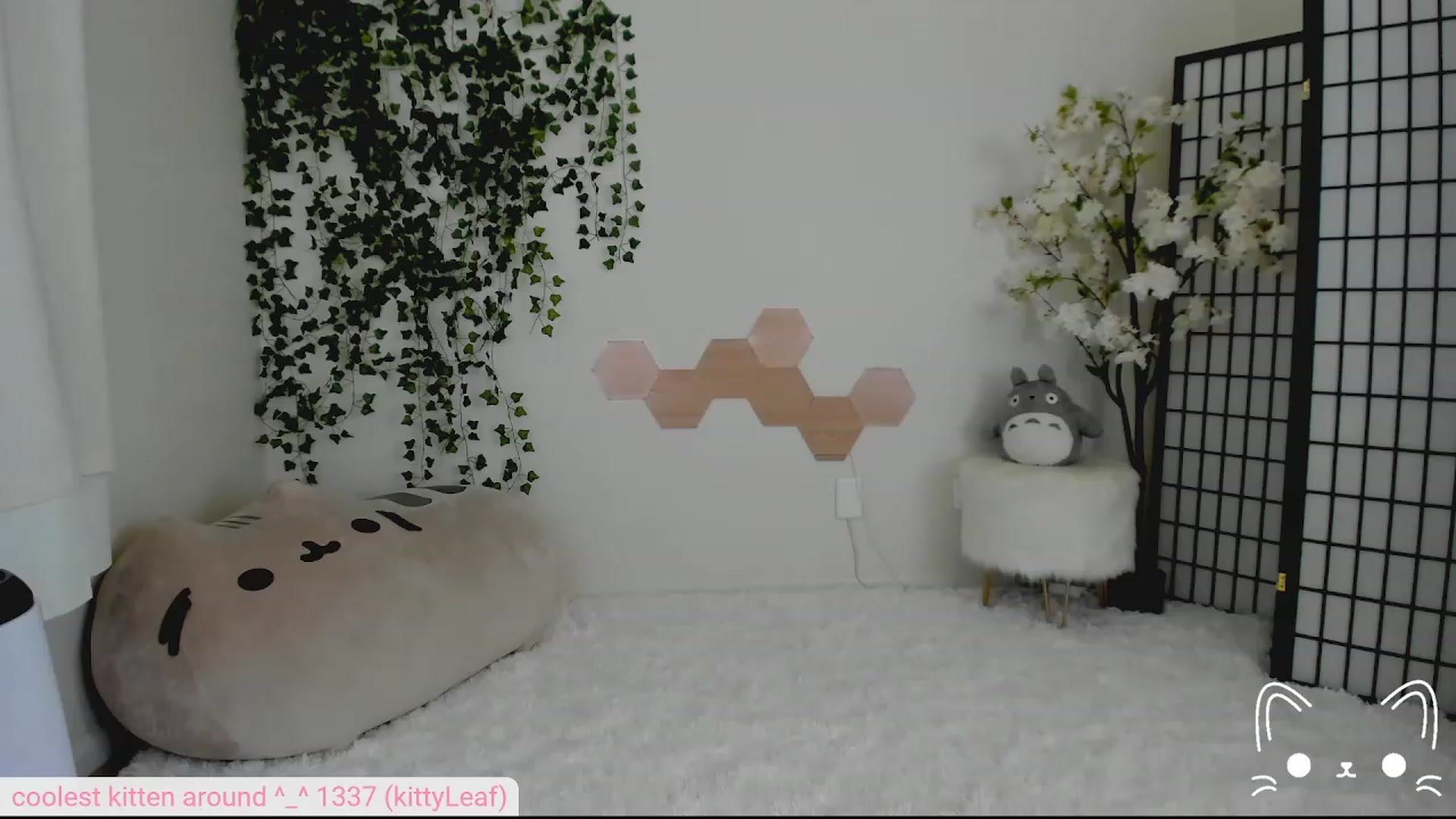 Gallery image thumbnail from Kittenyx's myfreecams stream on, 07/23/2023, 04:23 image 5 of 20