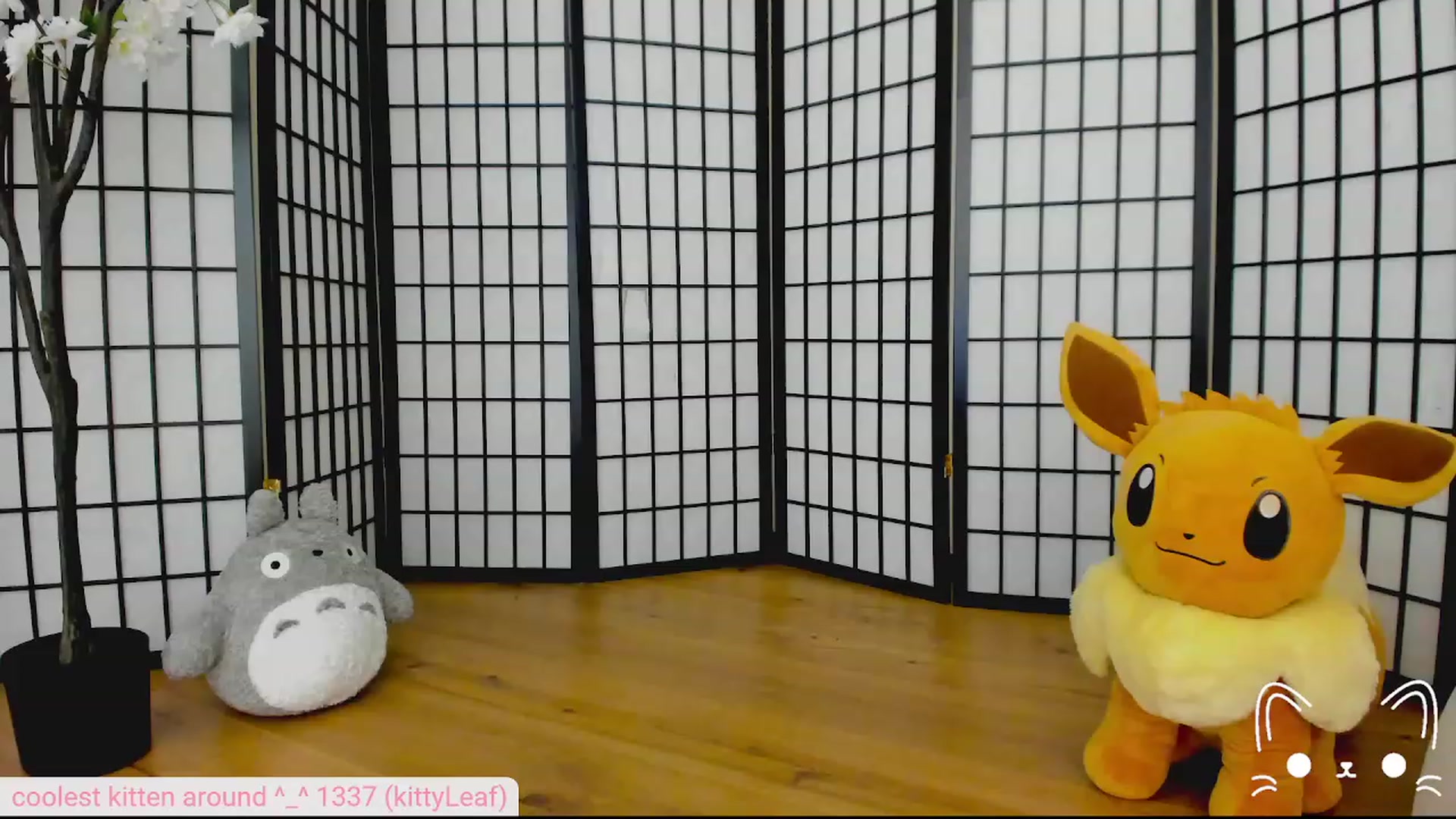 Gallery image thumbnail from Kittenyx's myfreecams stream on, 08/01/2023, 05:06 image 20 of 20