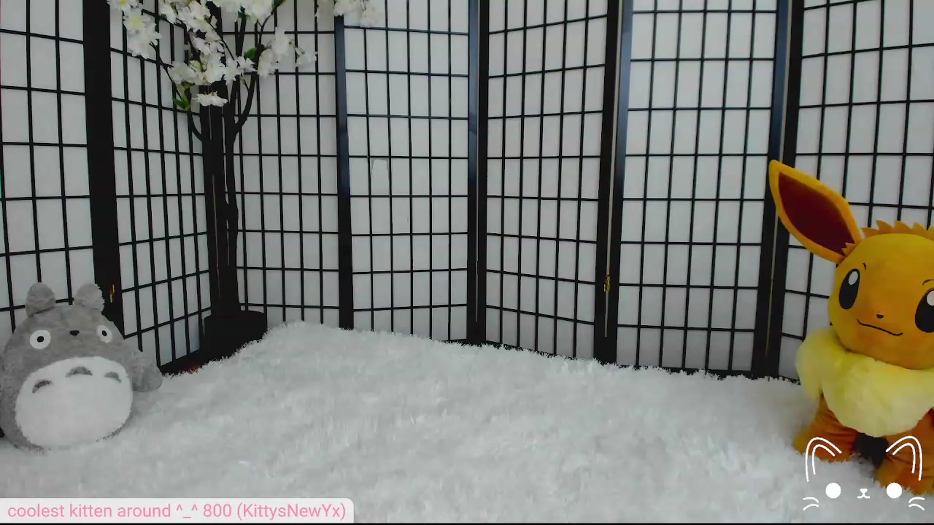 Gallery image thumbnail from Kittenyx's myfreecams stream on, 08/03/2023, 04:55 image 13 of 20