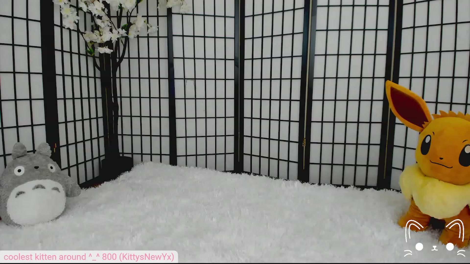 Gallery image thumbnail from Kittenyx's myfreecams stream on, 08/03/2023, 04:55 image 18 of 20