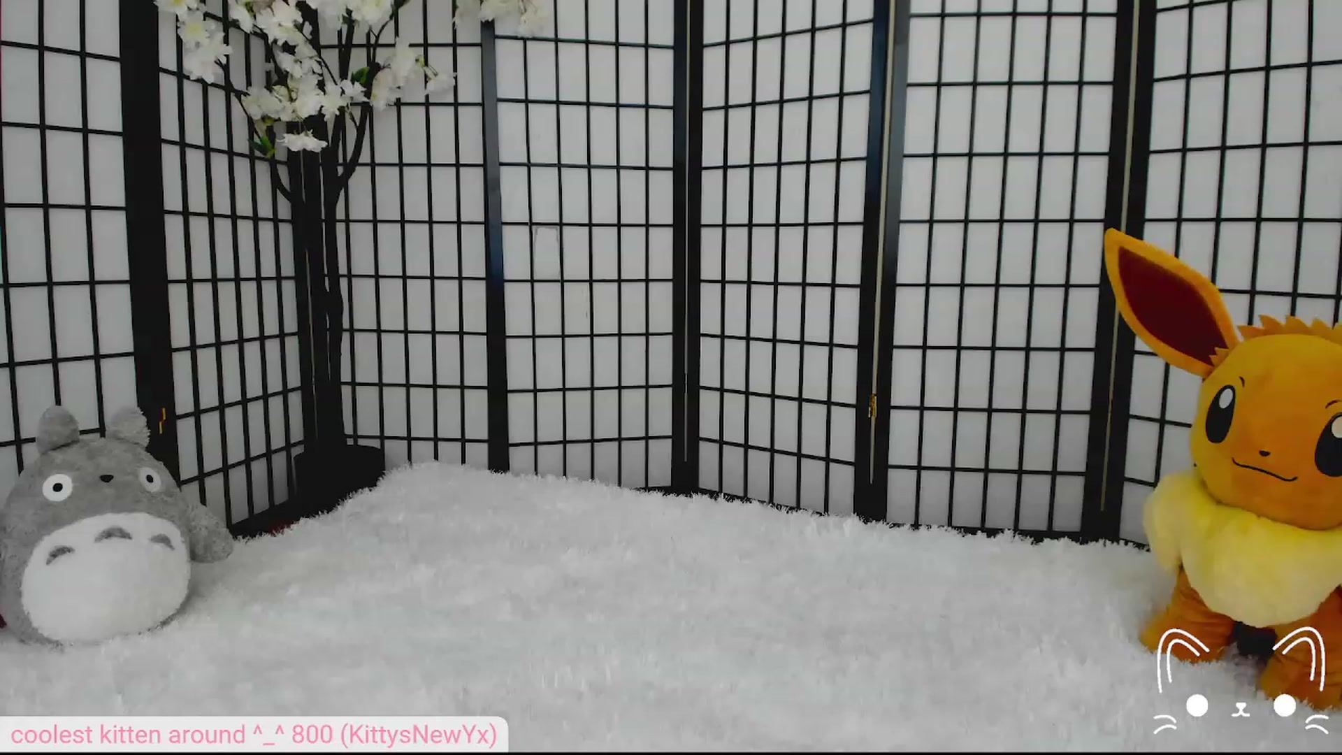Gallery image thumbnail from Kittenyx's myfreecams stream on, 08/03/2023, 04:55 image 9 of 20