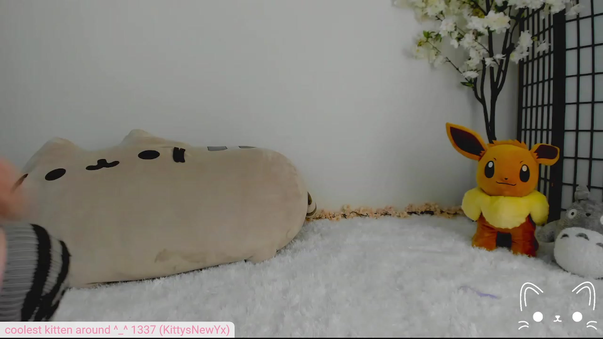 Gallery image thumbnail from Kittenyx's myfreecams stream on, 08/04/2023, 05:23 image 9 of 20