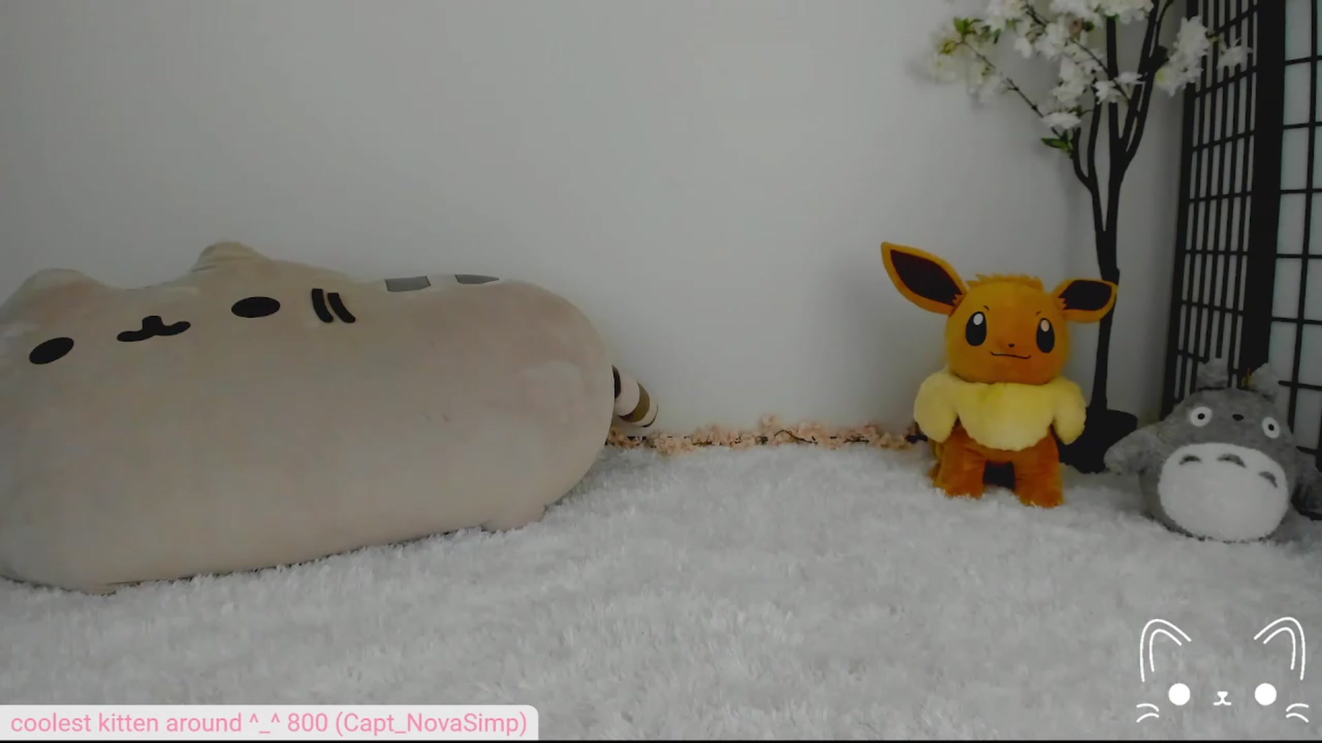 Gallery image thumbnail from Kittenyx's myfreecams stream on, 08/05/2023, 08:08 image 8 of 20