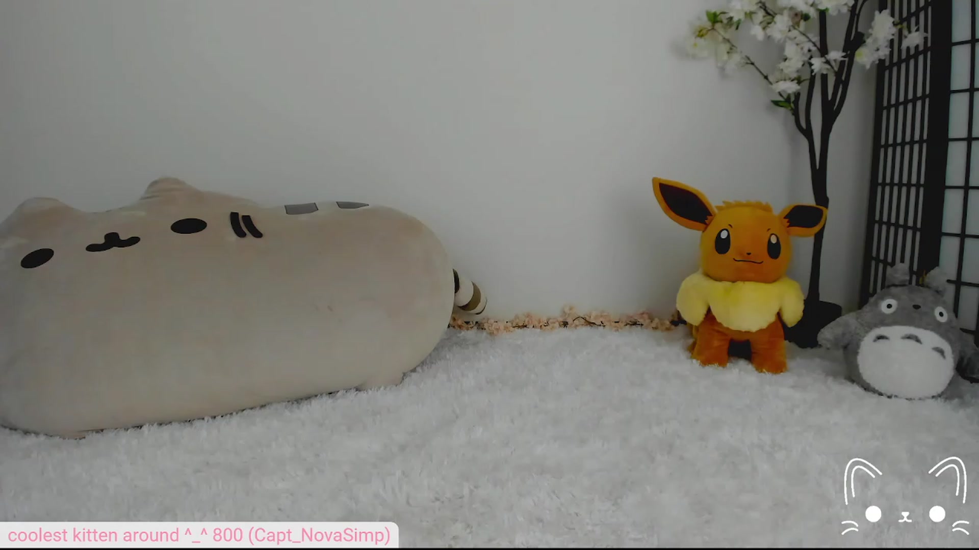 Gallery image thumbnail from Kittenyx's myfreecams stream on, 08/05/2023, 08:08 image 5 of 20
