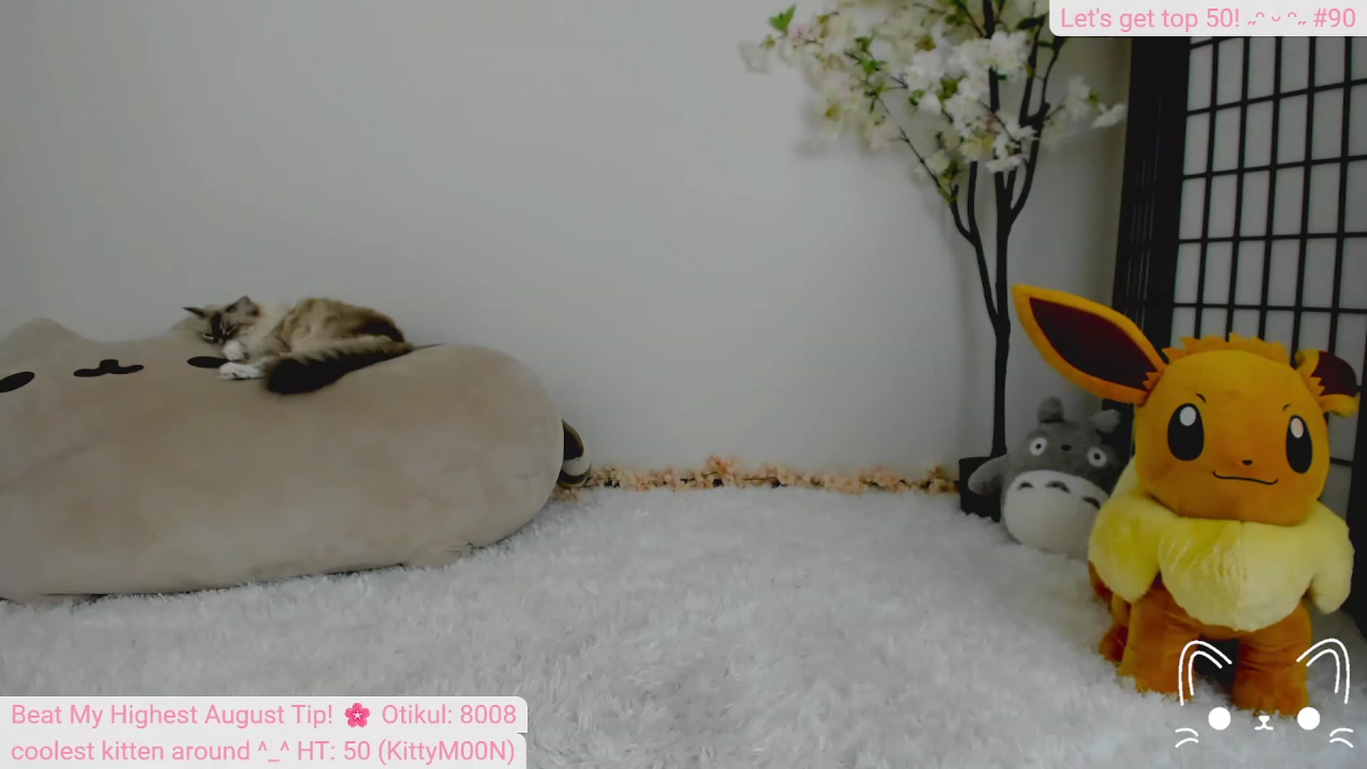 Gallery image thumbnail from Kittenyx's myfreecams stream on, 08/26/2023, 04:18 image 7 of 20