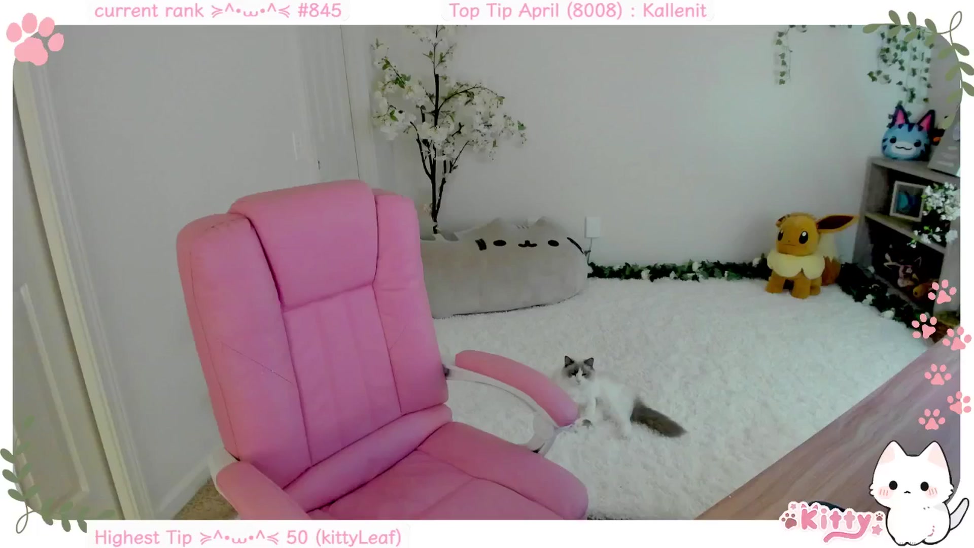 Gallery image thumbnail from Kittenyx's myfreecams stream on, 05/02/2025, 05:56 image 13 of 20
