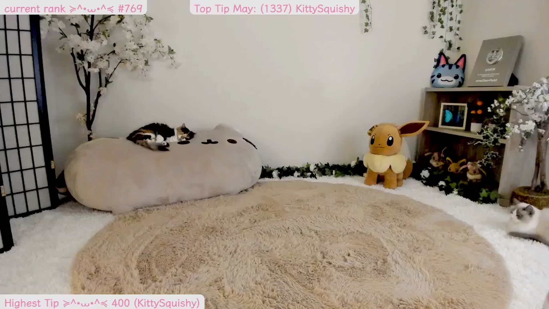Gallery image thumbnail from Kittenyx's myfreecams stream on, 05/06/2025, 05:39 image 6 of 20