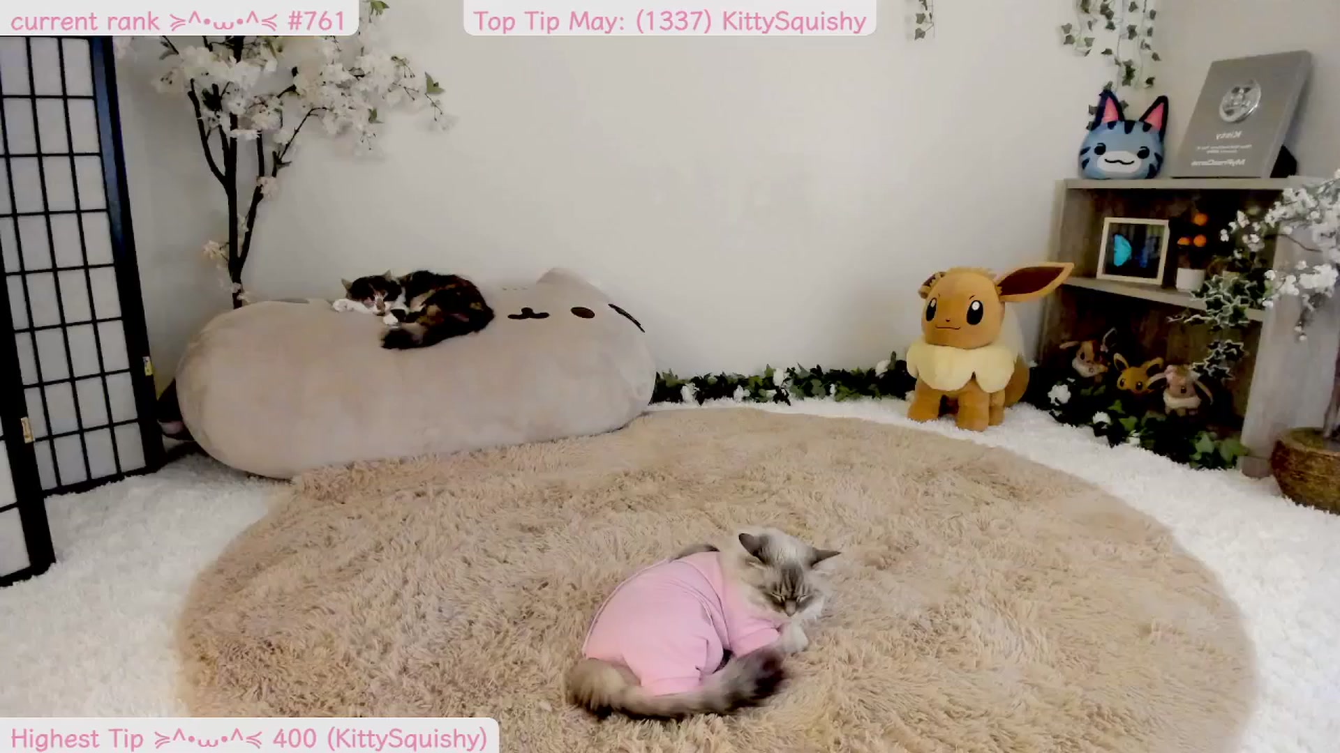 Gallery image thumbnail from Kittenyx's myfreecams stream on, 05/06/2025, 05:39 image 12 of 20