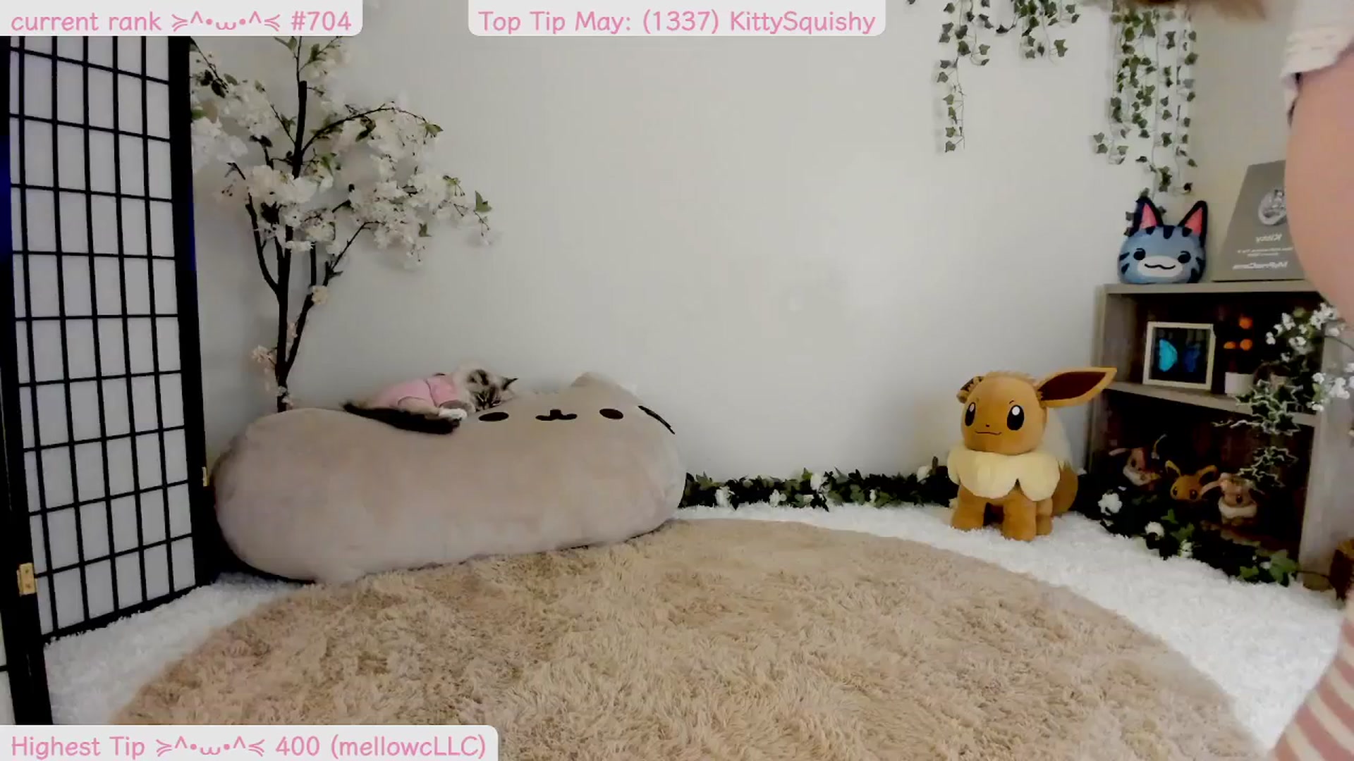 Gallery image thumbnail from Kittenyx's myfreecams stream on, 05/07/2025, 07:07 image 6 of 20