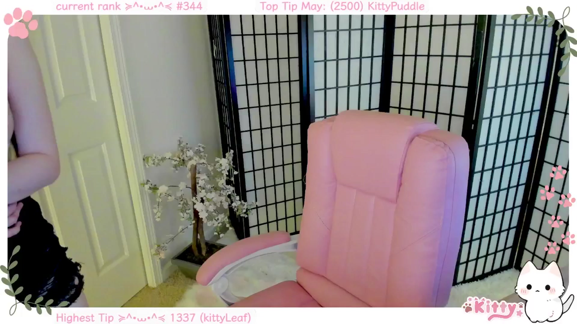 Gallery image thumbnail from Kittenyx's myfreecams stream on, 05/13/2025, 07:45 image 14 of 20