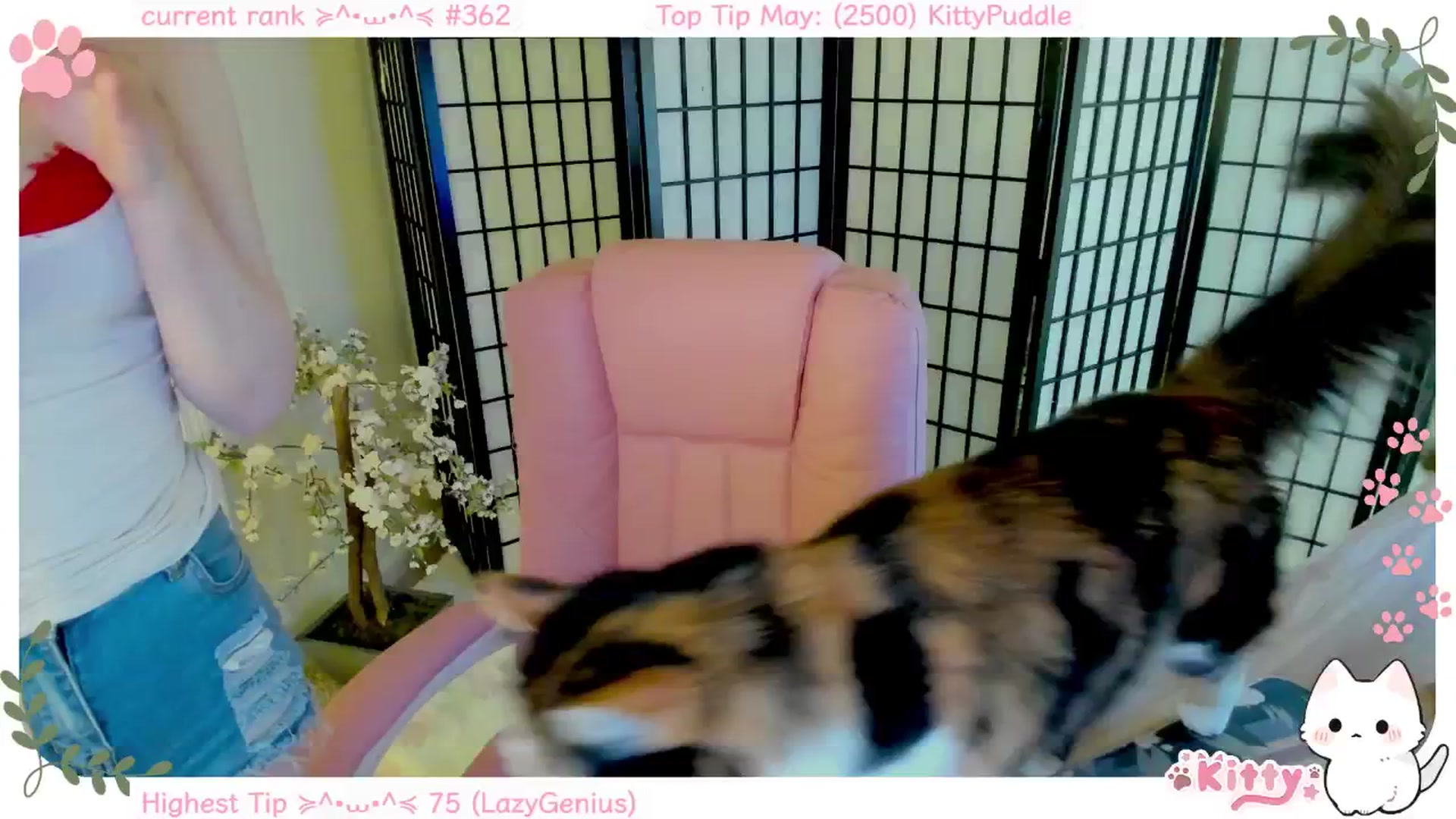 Gallery image thumbnail from Kittenyx's myfreecams stream on, 05/14/2025, 06:03 image 13 of 20