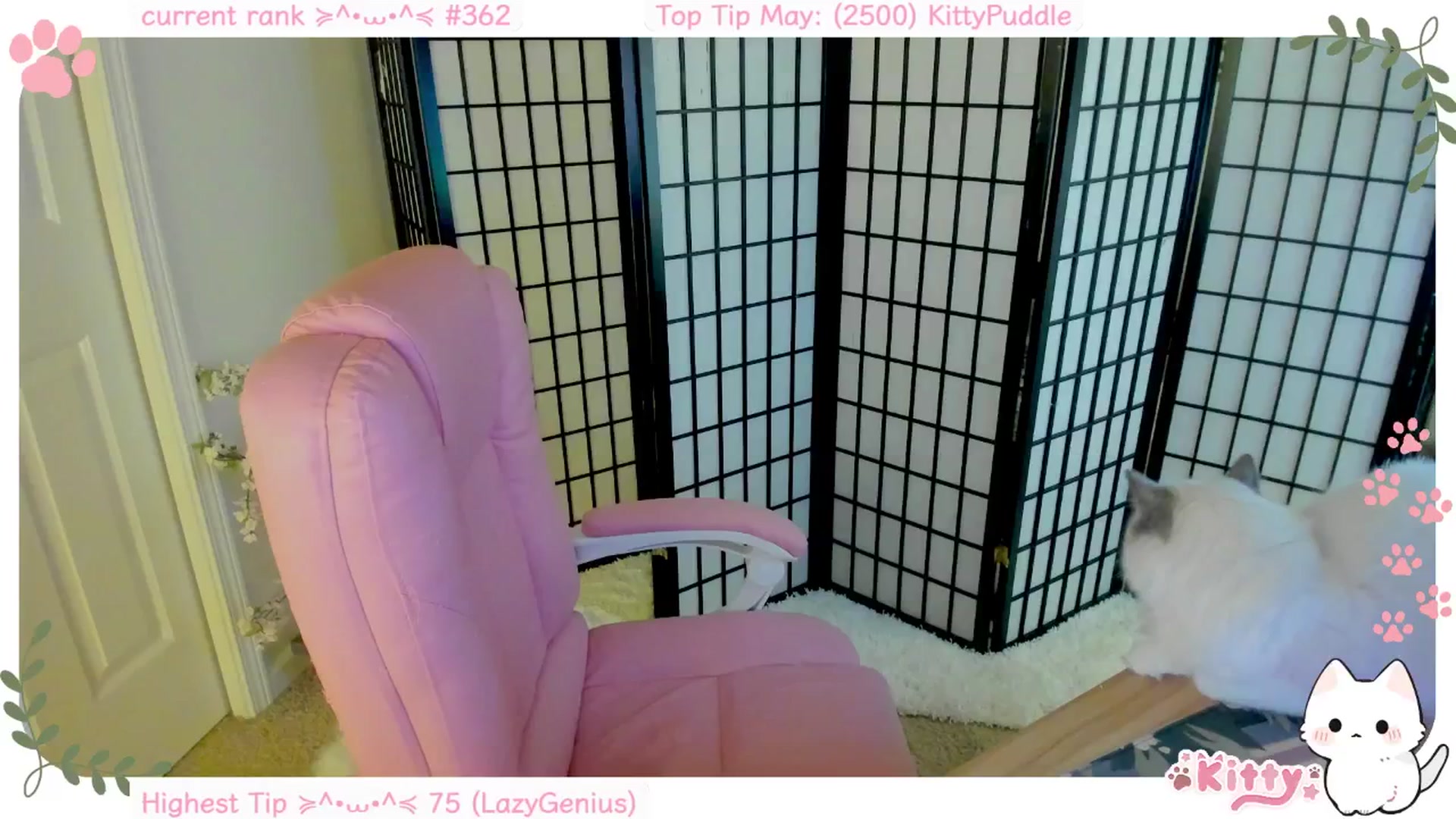 Gallery image thumbnail from Kittenyx's myfreecams stream on, 05/14/2025, 06:03 image 7 of 20