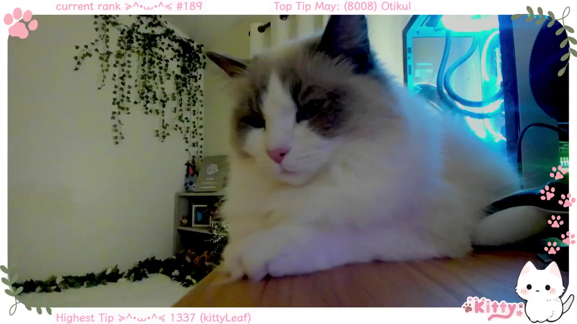 Gallery image thumbnail from Kittenyx's myfreecams stream on, 05/28/2025, 07:29 image 11 of 20