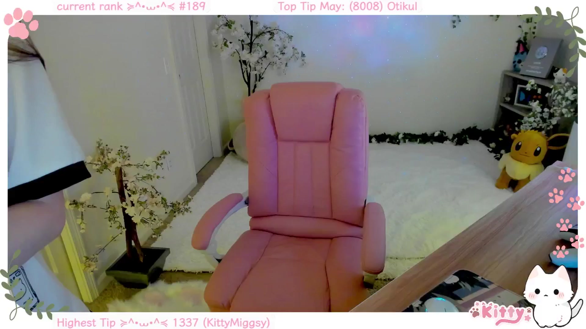 Gallery image thumbnail from Kittenyx's myfreecams stream on, 05/29/2025, 09:40 image 12 of 20