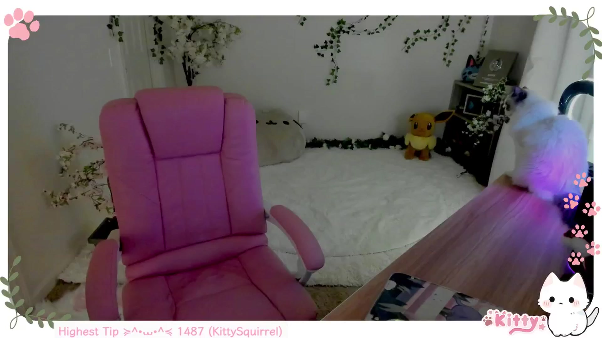 Gallery image thumbnail from Kittenyx's myfreecams stream on, 06/06/2025, 07:09 image 9 of 20