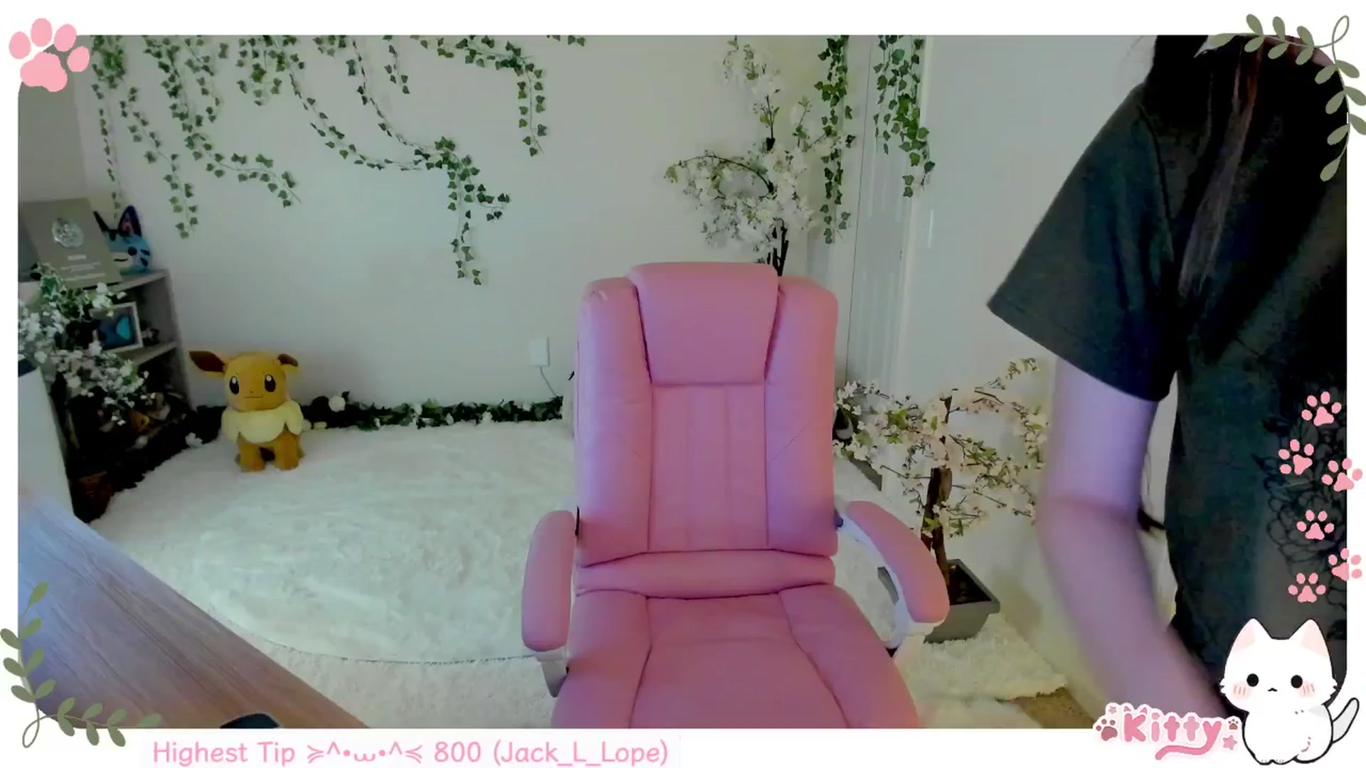 Gallery image thumbnail from Kittenyx's myfreecams stream on, 06/30/2025, 07:40 image 18 of 20