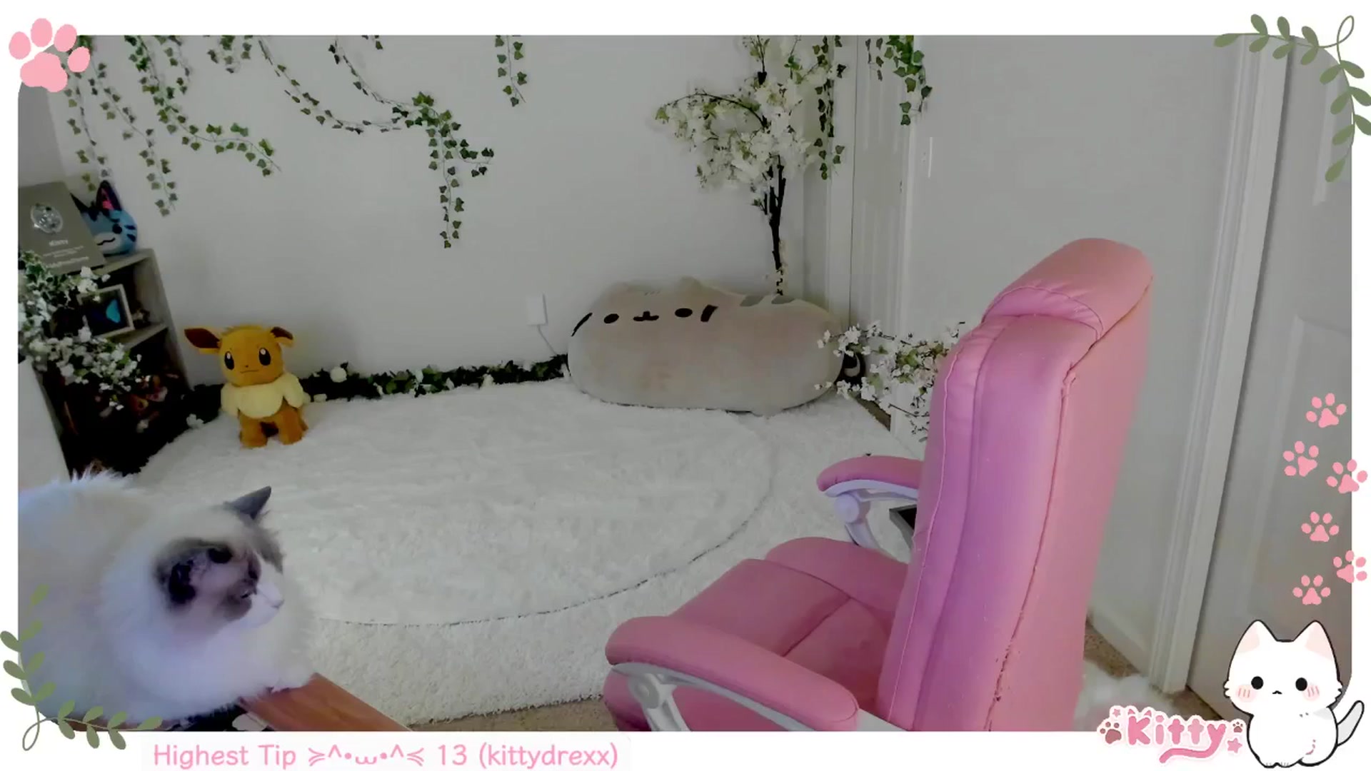 Gallery image thumbnail from Kittenyx's myfreecams stream on, 07/05/2025, 05:50 image 5 of 20