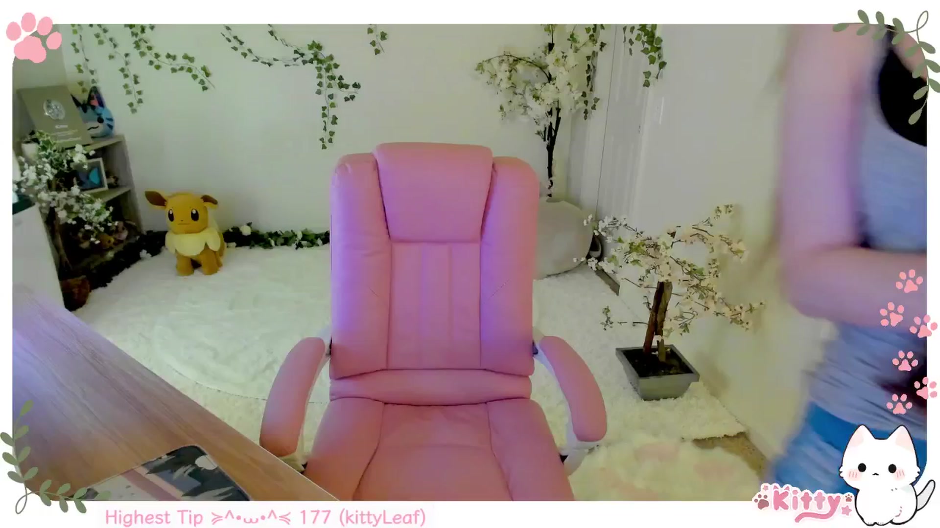 Gallery image thumbnail from Kittenyx's myfreecams stream on, 07/08/2025, 08:09 image 8 of 20