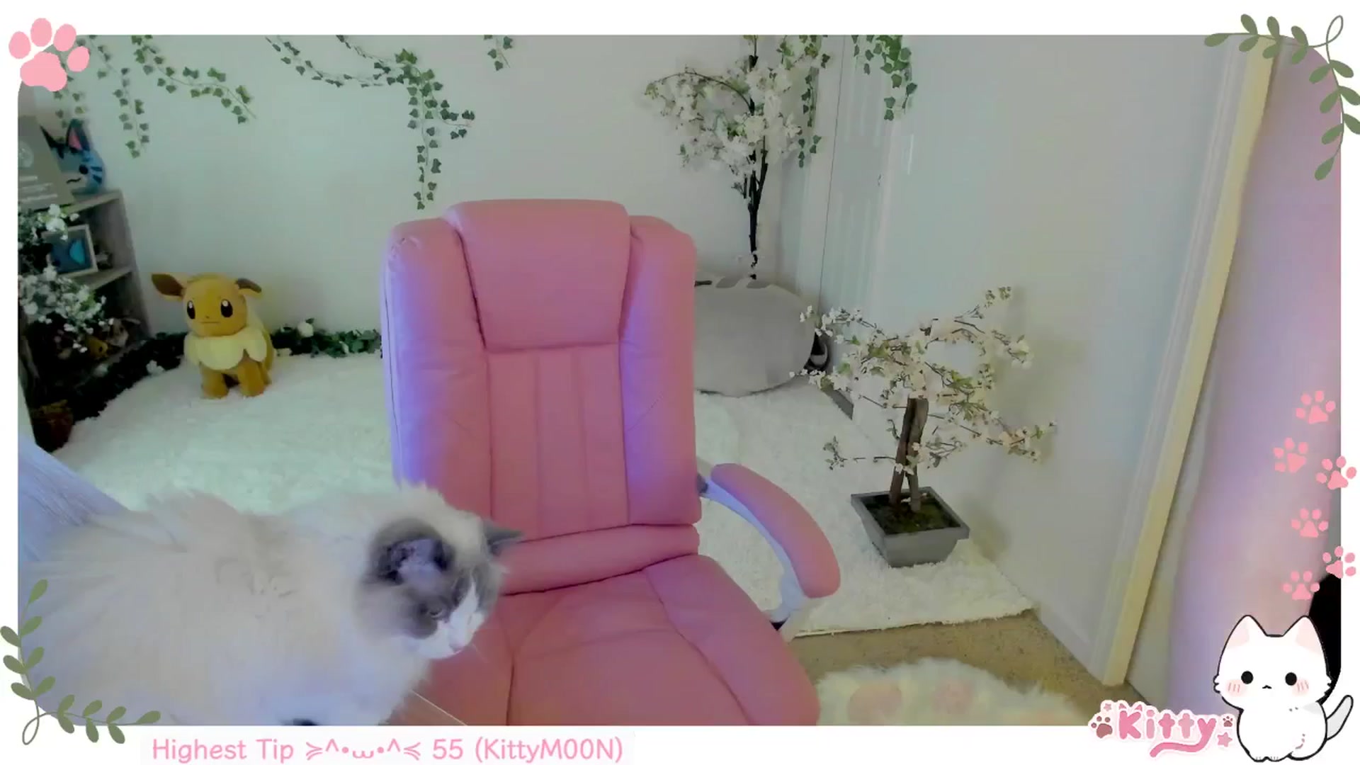 Gallery image thumbnail from Kittenyx's myfreecams stream on, 07/10/2025, 07:29 image 2 of 20