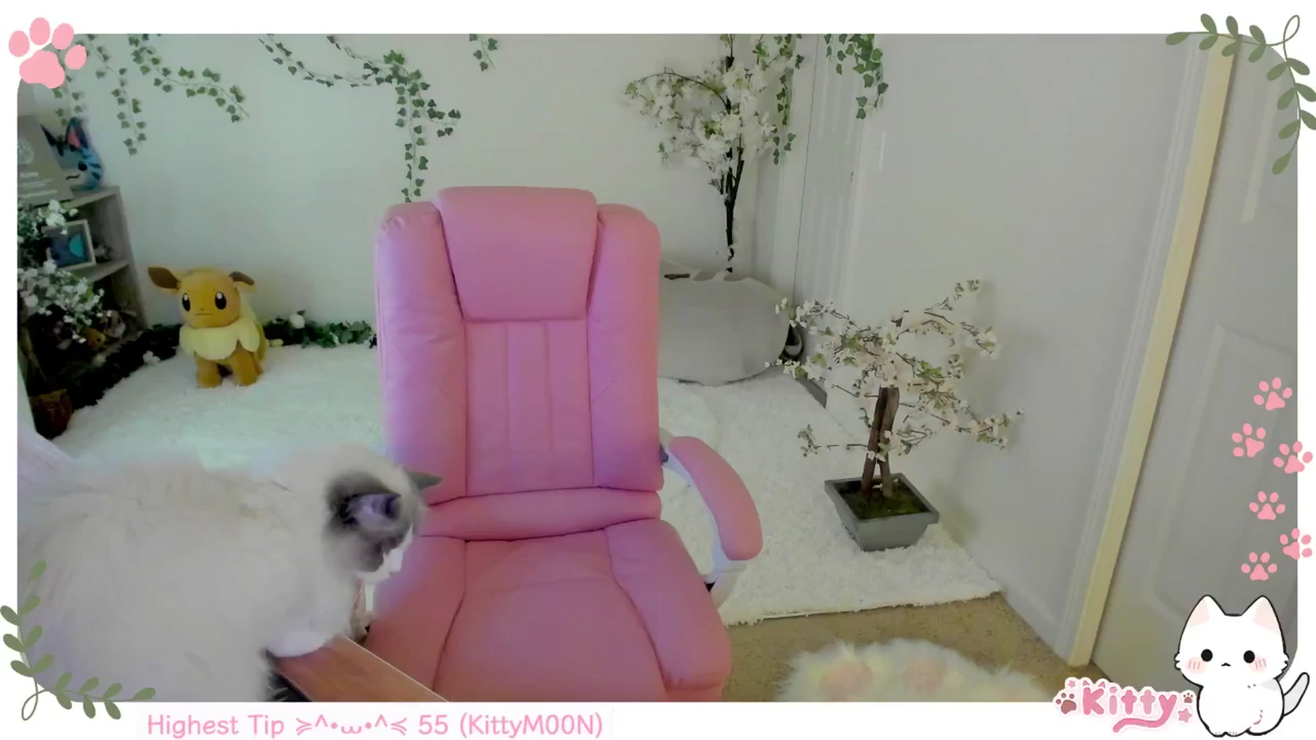 Gallery image thumbnail from Kittenyx's myfreecams stream on, 07/10/2025, 07:29 image 3 of 20
