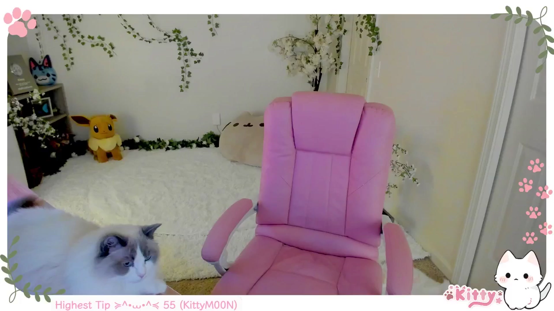 Gallery image thumbnail from Kittenyx's myfreecams stream on, 07/23/2025, 06:36 image 4 of 20
