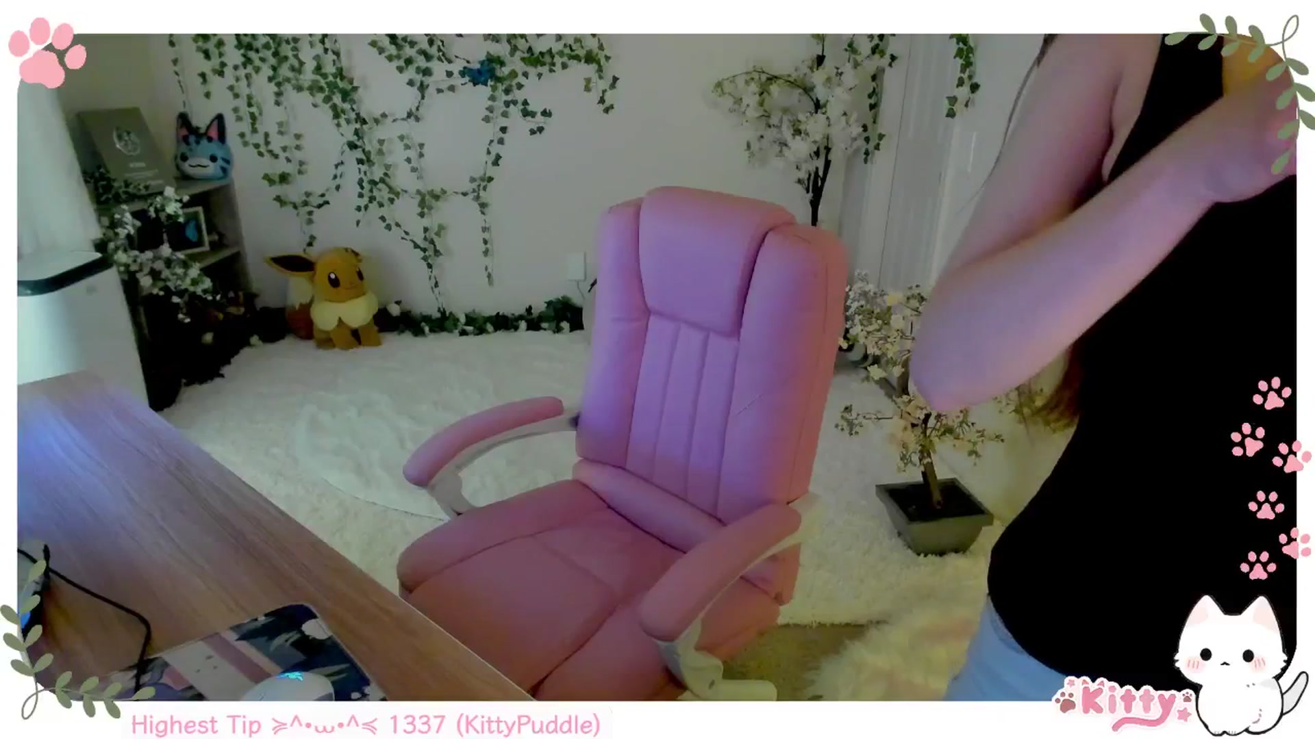 Gallery image thumbnail from Kittenyx's myfreecams stream on, 07/27/2025, 05:53 image 12 of 20