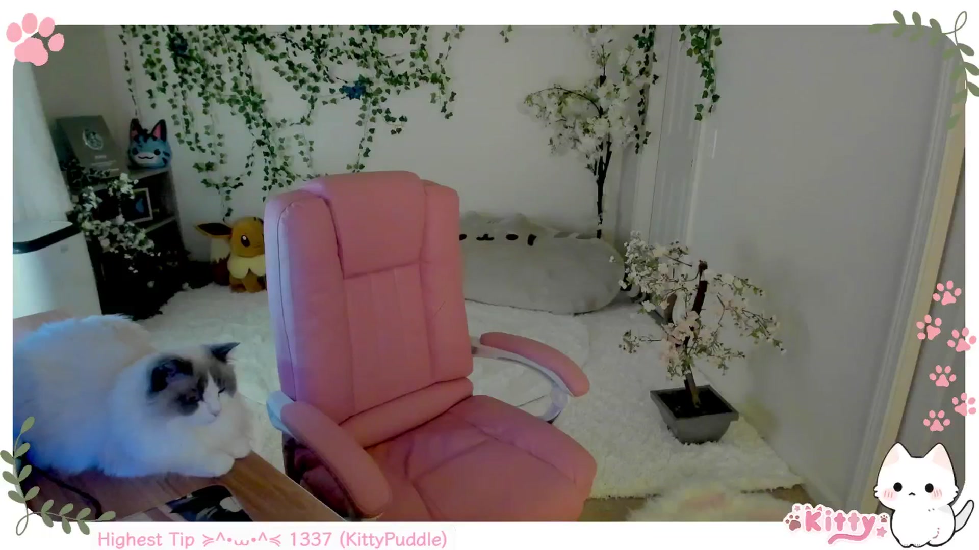 Gallery image thumbnail from Kittenyx's myfreecams stream on, 07/27/2025, 05:53 image 6 of 20