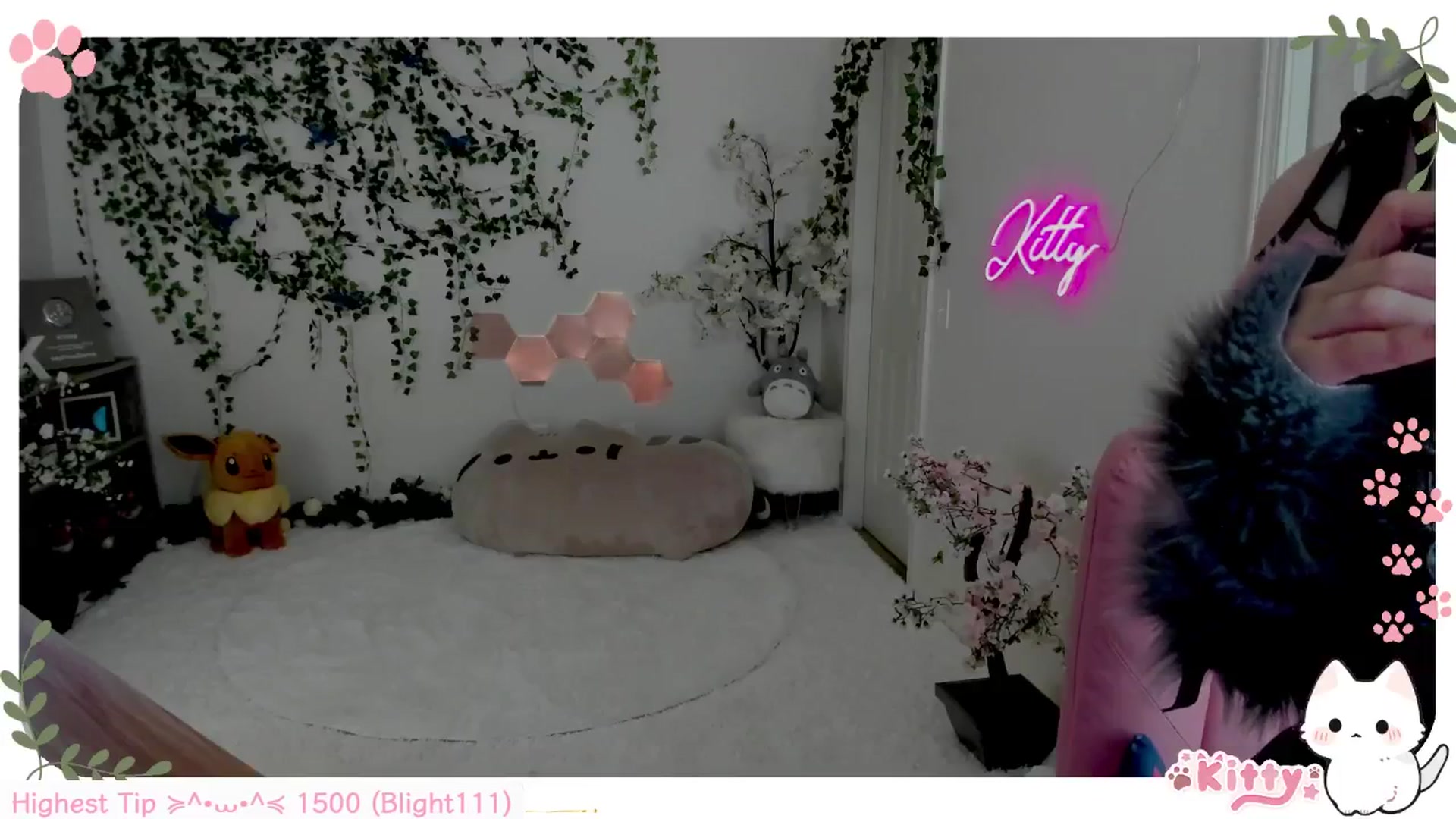Gallery image thumbnail from Kittenyx's myfreecams stream on, 08/03/2025, 06:49 image 20 of 20