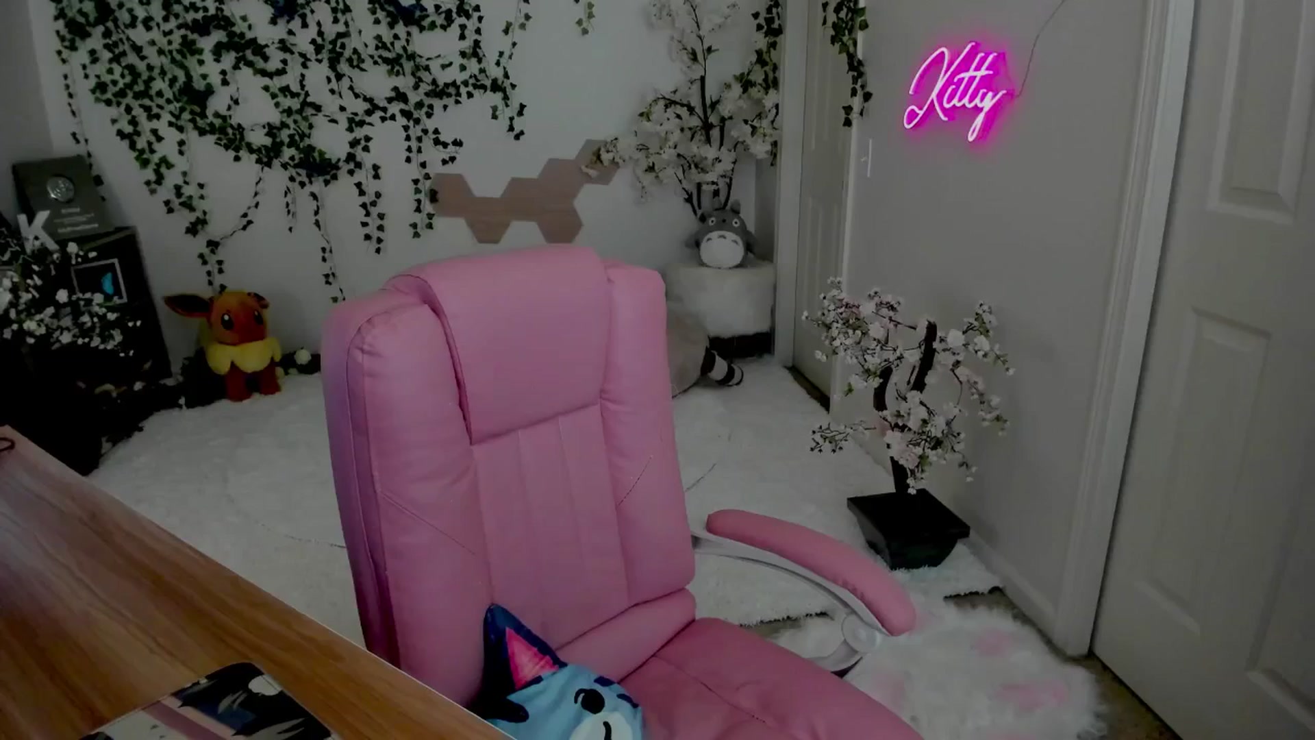 Gallery image thumbnail from Kittenyx's myfreecams stream on, 08/05/2025, 05:35 image 14 of 20
