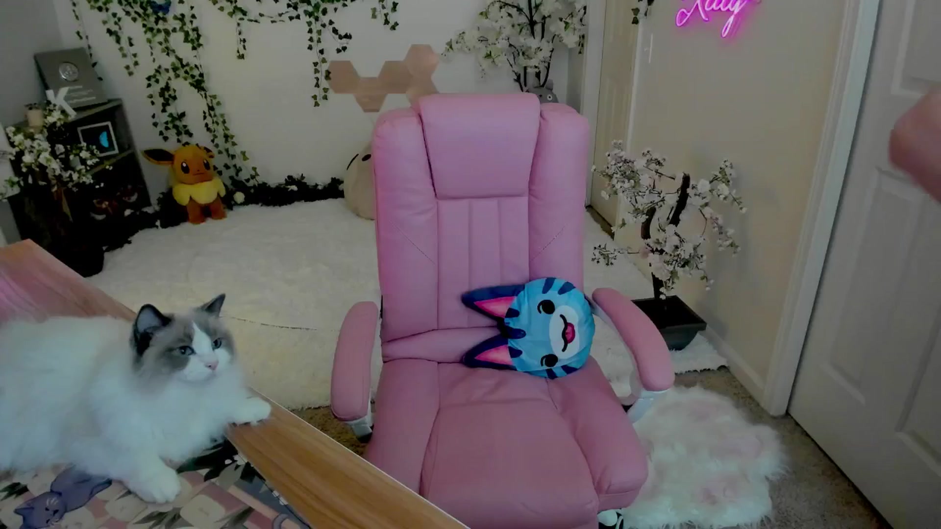 Gallery image thumbnail from Kittenyx's myfreecams stream on, 08/08/2025, 07:19 image 2 of 20