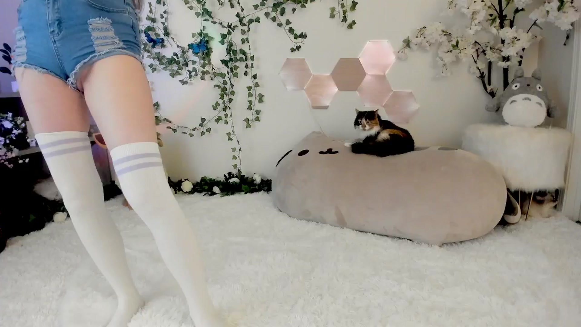 Gallery image thumbnail from Kittenyx's myfreecams stream on, 08/15/2025, 05:19 image 7 of 20