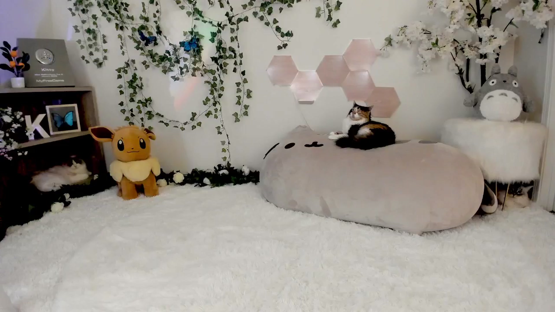 Gallery image thumbnail from Kittenyx's myfreecams stream on, 08/15/2025, 05:19 image 8 of 20