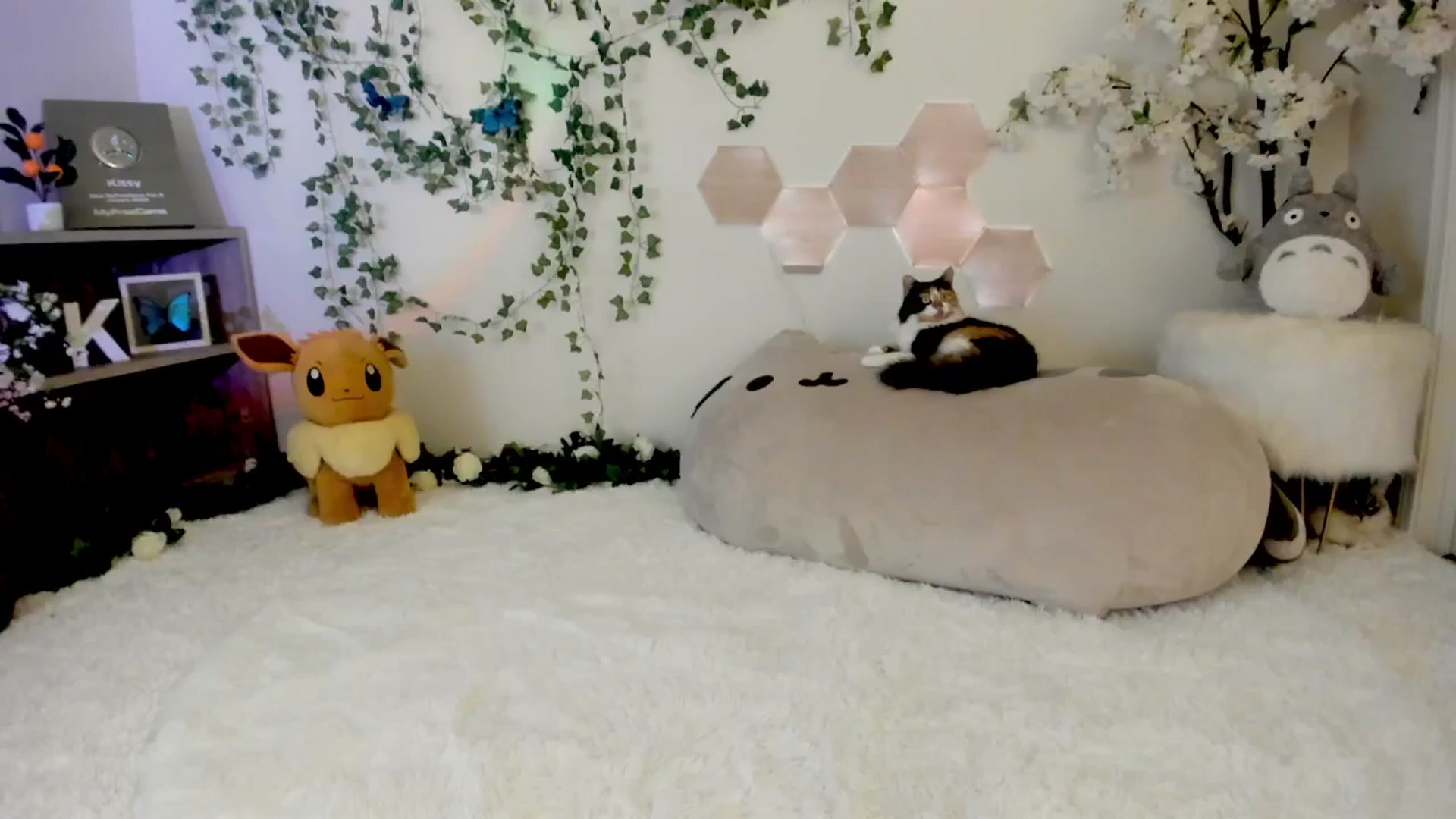 Gallery image thumbnail from Kittenyx's myfreecams stream on, 08/15/2025, 05:19 image 12 of 20