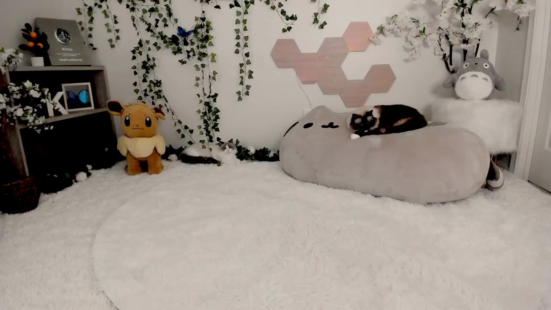 Gallery image thumbnail from Kittenyx's myfreecams stream on, 08/28/2025, 06:33 image 8 of 20