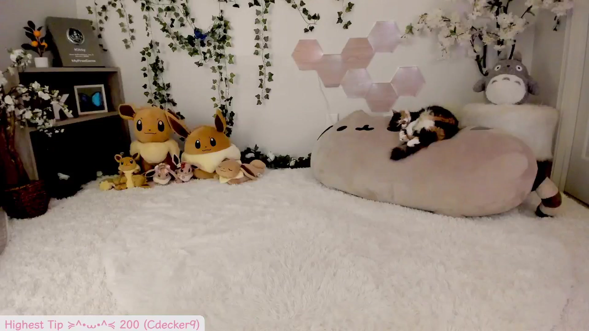 Gallery image thumbnail from Kittenyx's myfreecams stream on, 08/31/2025, 07:17 image 6 of 20