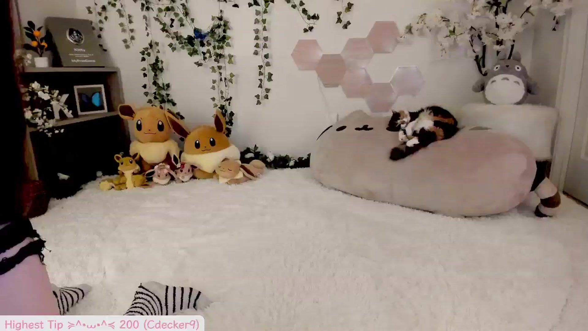 Gallery image thumbnail from Kittenyx's myfreecams stream on, 08/31/2025, 07:17 image 5 of 20