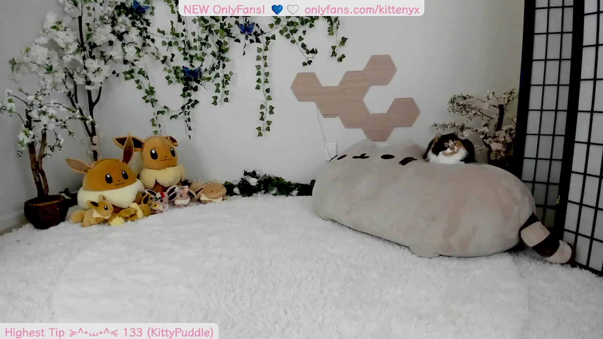 Gallery image thumbnail from Kittenyx's myfreecams stream on, 09/07/2025, 07:22 image 1 of 20