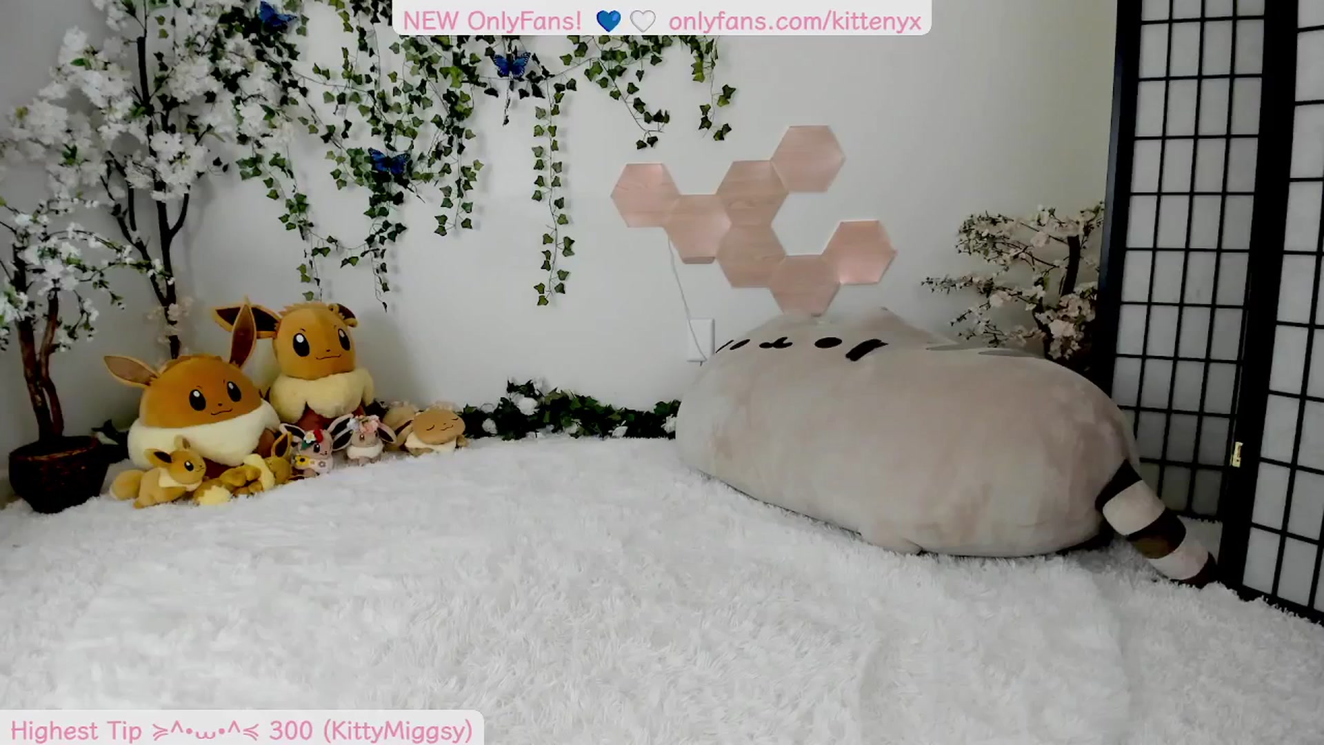 Gallery image thumbnail from Kittenyx's myfreecams stream on, 09/08/2025, 06:10 image 19 of 20