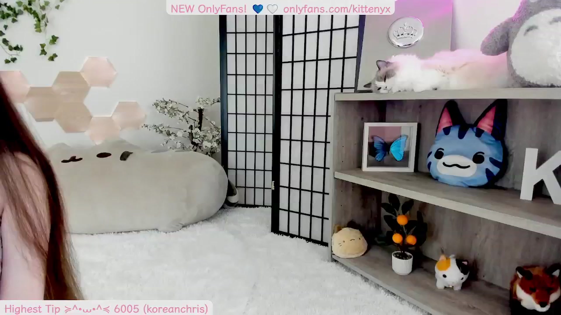 Gallery image thumbnail from Kittenyx's myfreecams stream on, 09/09/2025, 05:16 image 17 of 20