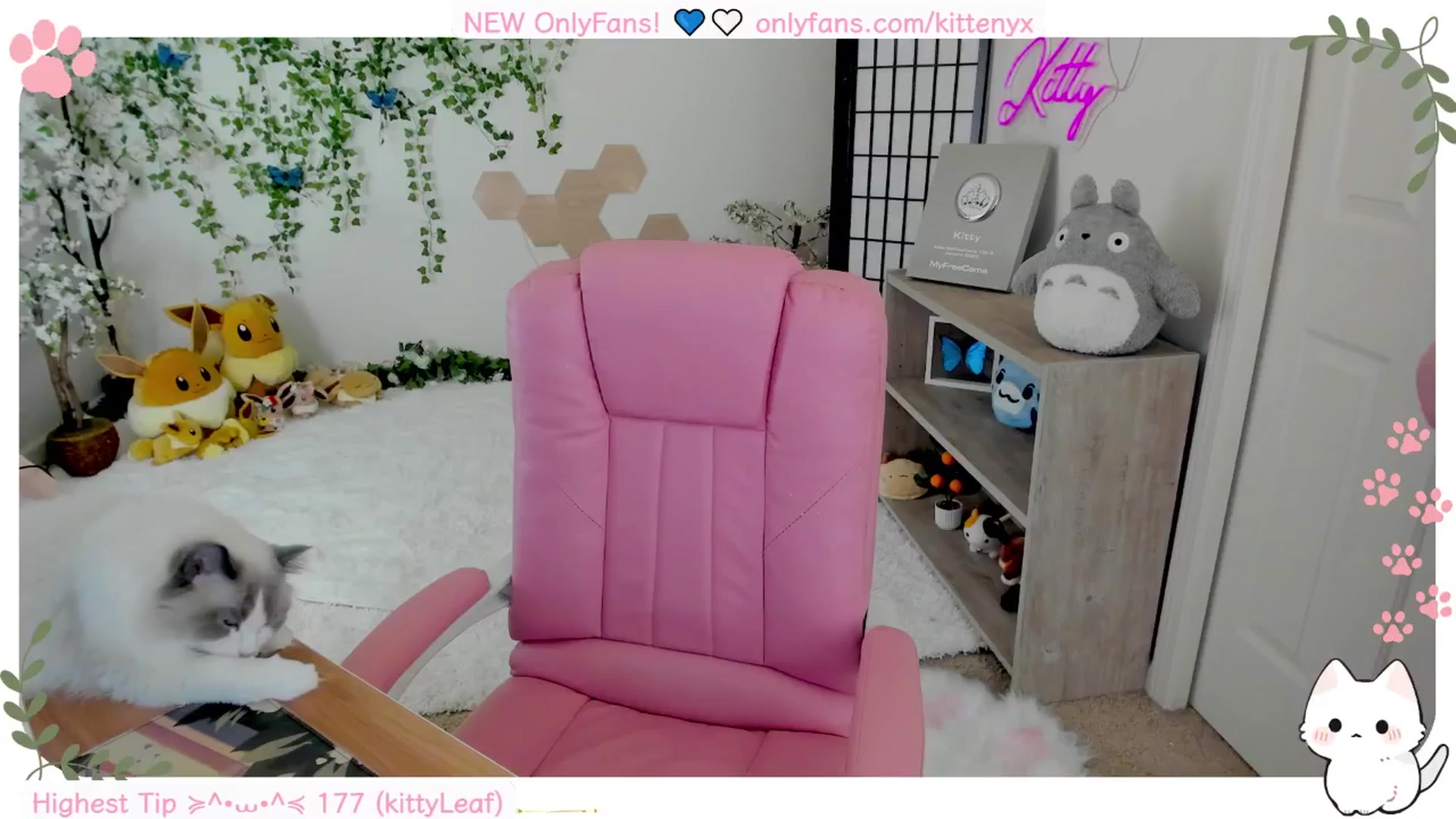 Gallery image thumbnail from Kittenyx's myfreecams stream on, 09/10/2025, 06:30 image 11 of 20