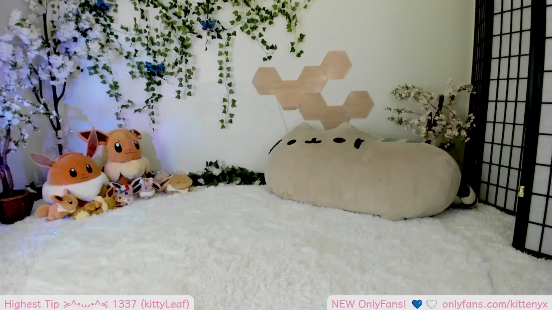 Gallery image thumbnail from Kittenyx's myfreecams stream on, 09/11/2025, 06:29 image 8 of 20