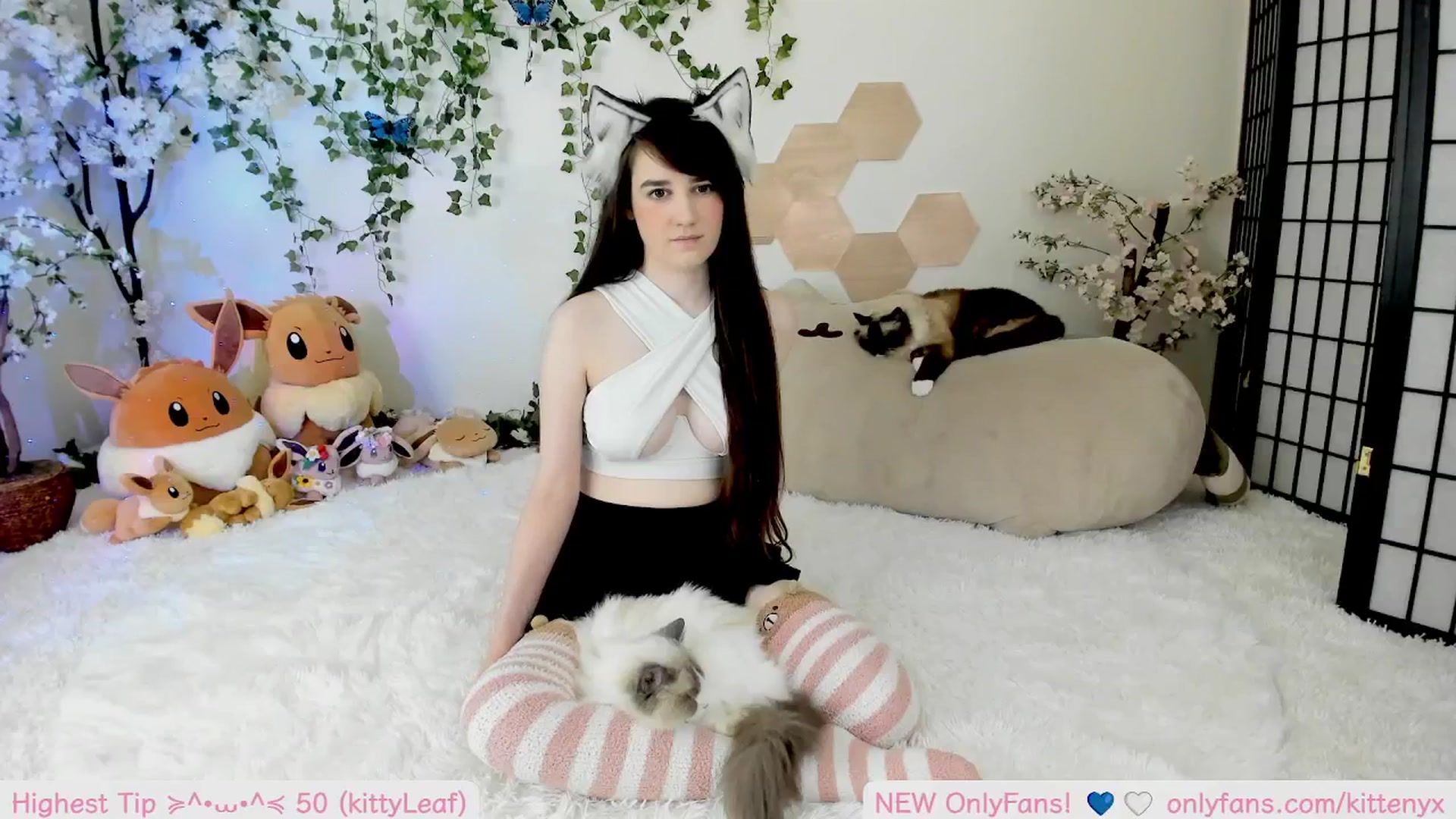 Gallery image thumbnail from Kittenyx's myfreecams stream on, 09/11/2025, 06:29 image 4 of 20