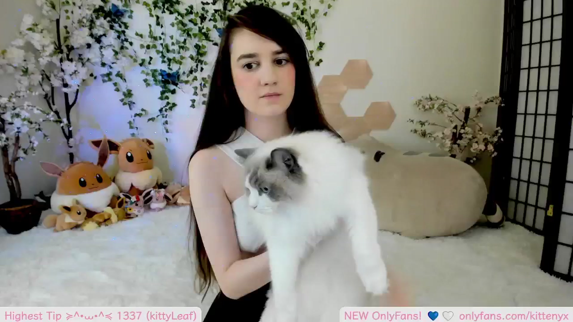 Gallery image thumbnail from Kittenyx's myfreecams stream on, 09/11/2025, 07:35 image 5 of 20