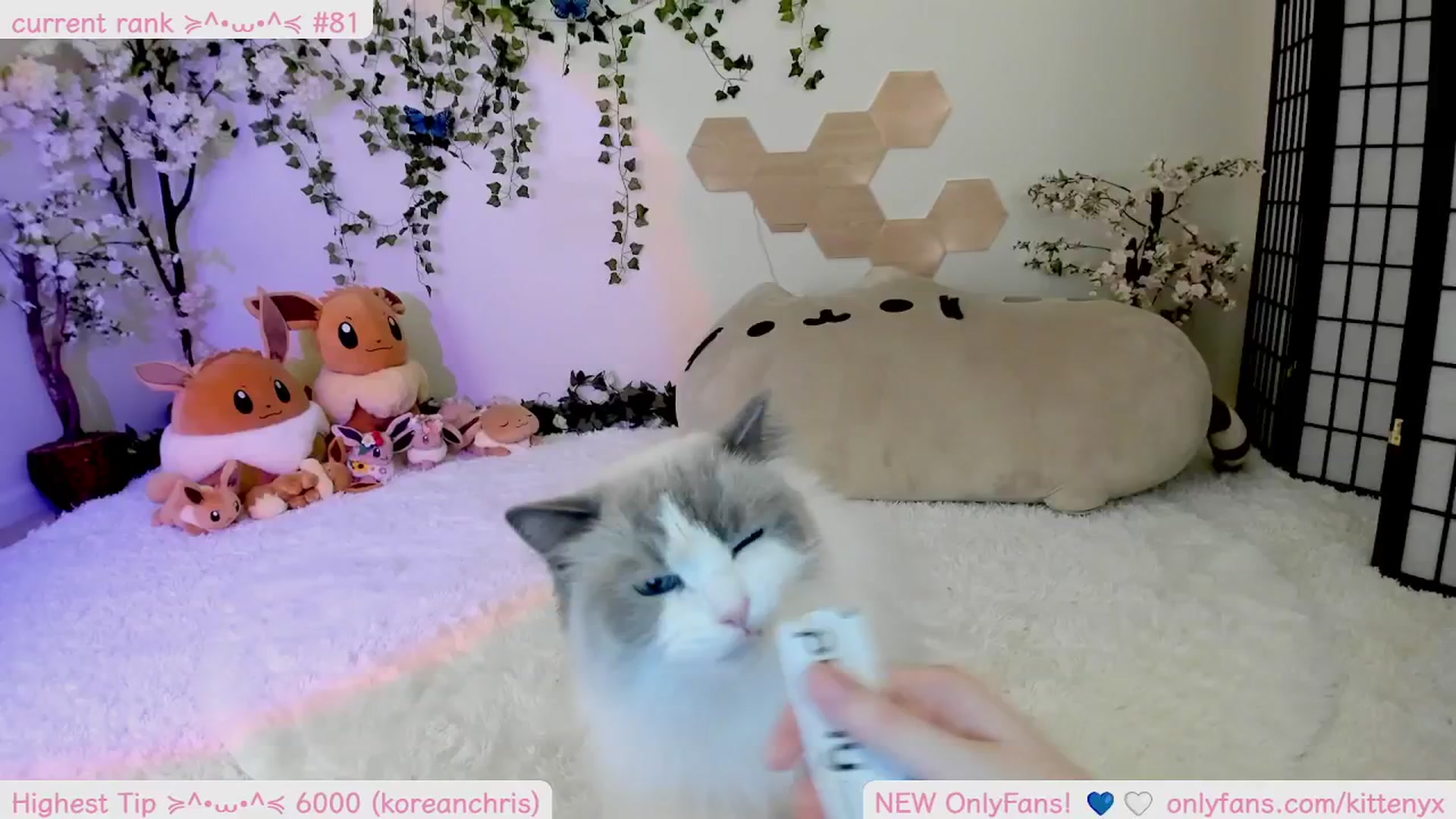 Gallery image thumbnail from Kittenyx's myfreecams stream on, 09/16/2025, 07:06 image 2 of 20