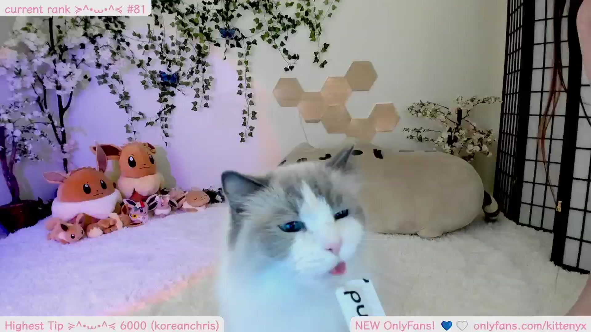 Gallery image thumbnail from Kittenyx's myfreecams stream on, 09/16/2025, 07:06 image 1 of 20