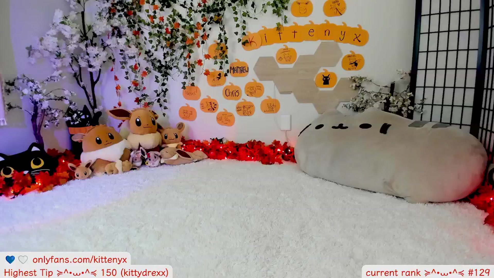 Gallery image thumbnail from Kittenyx's myfreecams stream on, 10/30/2025, 08:00 image 9 of 20