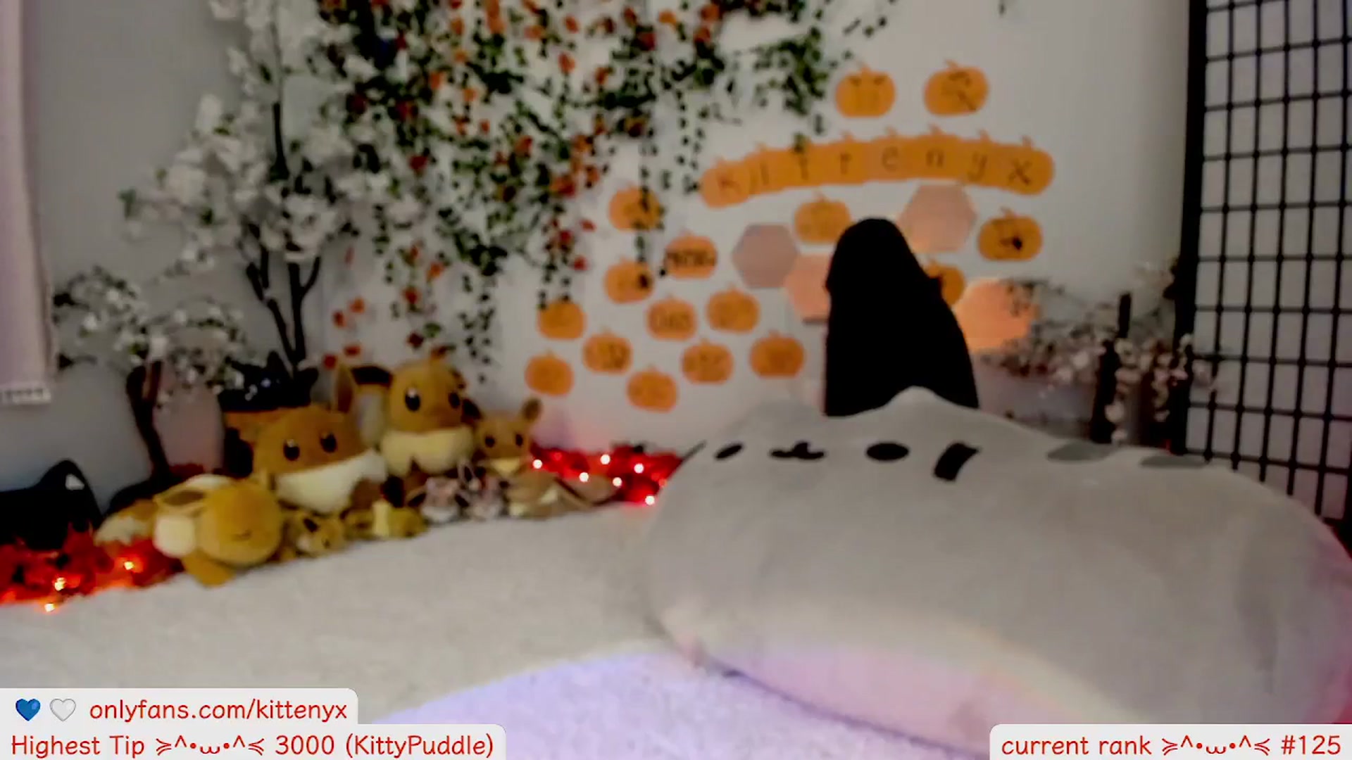 Gallery image thumbnail from Kittenyx's myfreecams stream on, 10/31/2025, 07:38 image 2 of 20