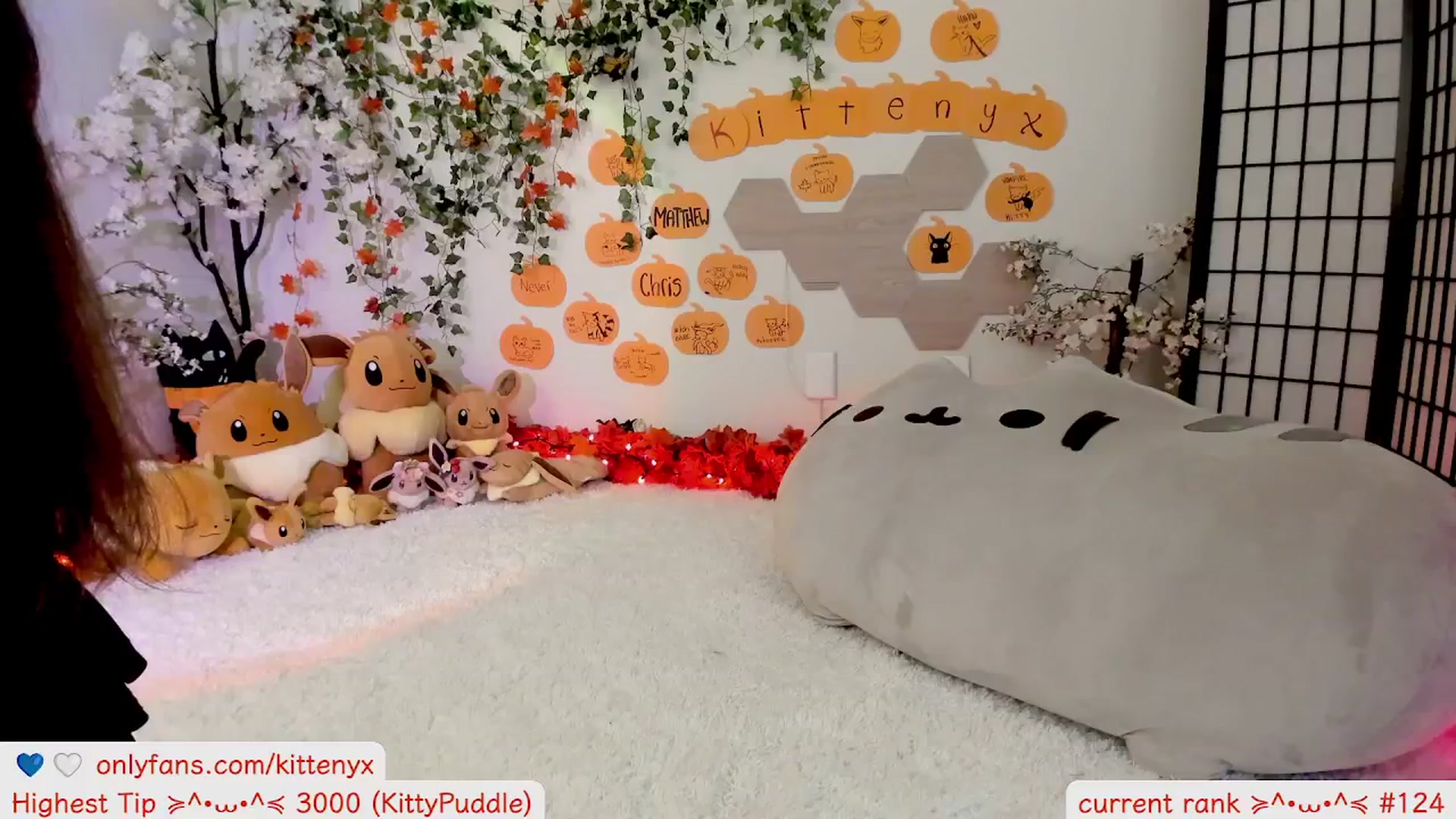 Gallery image thumbnail from Kittenyx's myfreecams stream on, 10/31/2025, 07:38 image 18 of 20