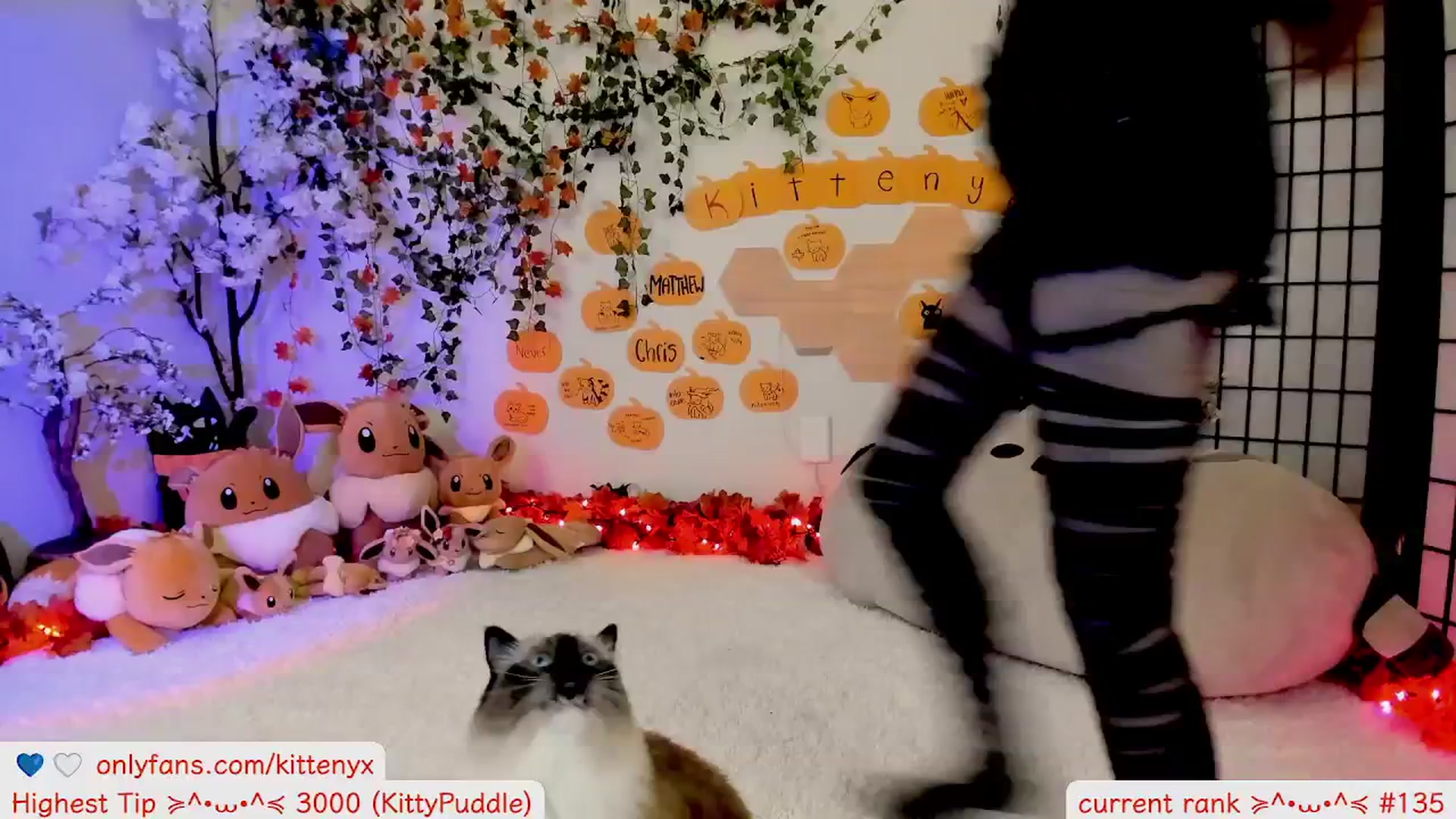 Gallery image thumbnail from Kittenyx's myfreecams stream on, 11/01/2025, 05:49 image 9 of 20
